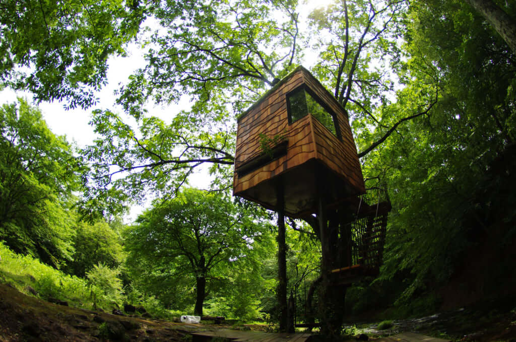 treehouse dream